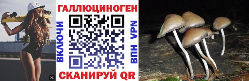 Галлюциногенные грибы Psilocybine cubensis Коммунар