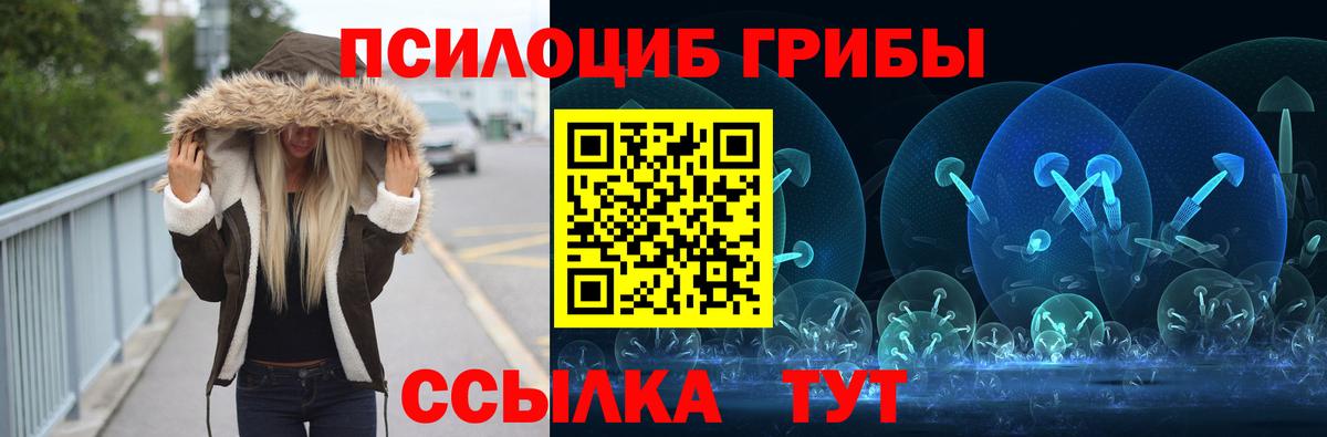 Псилоцибиновые грибы мицелий  дарнет шоп  Псилоцибиновые грибы Cubensis  Коммунар 